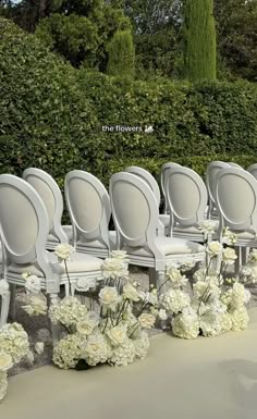 rows of chairs with white flowers in them