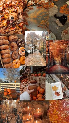 a collage of photos with pumpkins, leaves, and other things in them