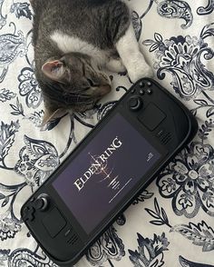 a cat laying on top of a cell phone next to it's screen and head