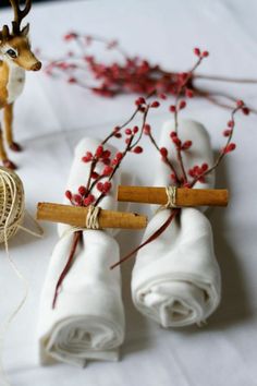 two napkins tied together with twine and some red berries on the table next to each other