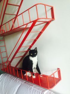 a black and white cat sitting on top of a red shelf next to a bed