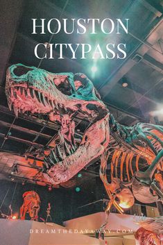 the cover of houston city pass with an image of a dinosaur skeleton and other dinosaurs