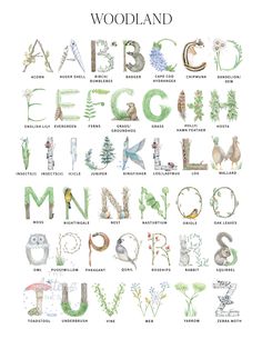 the alphabet is made up of animals and plants