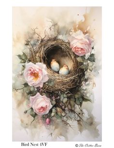 bird nest with pink roses and two birds in it's nest on watercolor paper