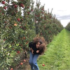 a woman standing in an apple orchard picking apples from the trees and looking at the camera