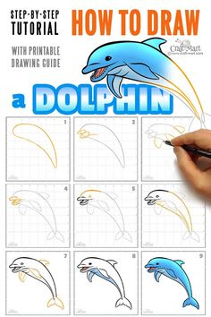 how to draw a dolphin with step by step instructions for children and adults, including dolphins