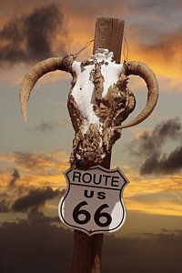 a long horn steer head on top of a wooden pole with a route 66 sign below it