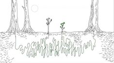 a drawing of trees in the middle of a field with grass growing out of them