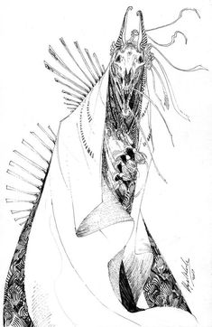 a black and white drawing of a dragon with feathers on it's back legs