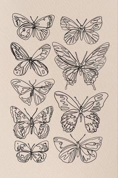 six butterflies drawn in black ink on white paper