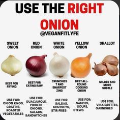 an onion chart with the different types of onions in each region and how to use them