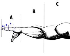 an image of a hand with the letters abc and c on it's side