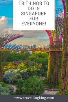 18 Things to Do in Singapore for Everyone! Singapore is an island city-state off the coast of Malaysia in Southeast Asia, some calling it the ��Las Vegas of Southeast Asia.�� We have provided a list of fun things to do for everyone, from families to couple Things To Do In Singapore, Lifestyle Board, Pink Lake, Ao Nang