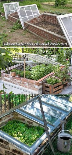 an old greenhouse has been transformed into a vegetable garden with plants growing inside and outside