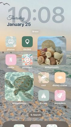 an image of the beach with many different things on it, including sea shells and seashells