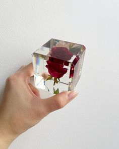 a person's hand holding a glass block with a rose in it