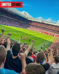 a crowd of people at a soccer game with their hands in the air and one person holding up his fist