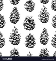 pine cones drawn in black and white on a white background, seamless pattern with the image