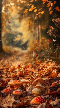 an autumn scene with mushrooms and leaves on the ground in front of a forest path