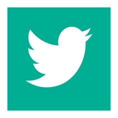 a white twitter logo on a green background