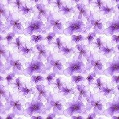 purple flowers are arranged in the shape of an abstract flower pattern on a white background