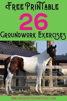 a brown and white horse standing in front of a fence with text overlay reading free printable 26 groundwork exercises