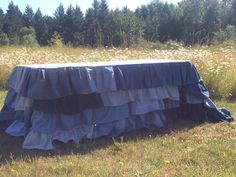 there is a blue table cloth on top of it in the middle of a field