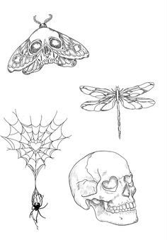 three different types of insects and skulls