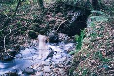 a person walking across a small stream in the woods