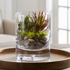 an arrangement of rocks and plants in a glass vase