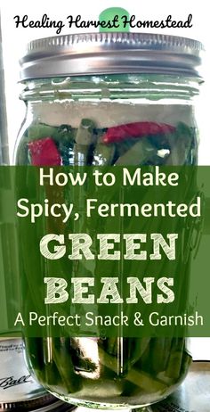 green beans in a jar with text overlay how to make spicy fermented green beans