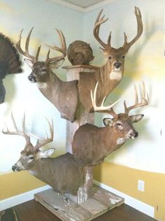 three deer heads mounted to the side of a wooden pole in front of a wall