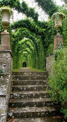 an old set of steps leading into a tunnel