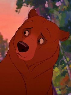 the bear from disney's live - in - the - wild is looking at something