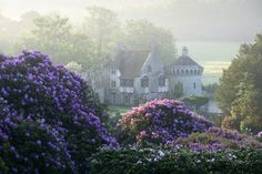 a house surrounded by trees and bushes with pink flowers in the foreground on a foggy day