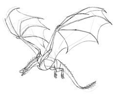 a black and white drawing of a dragon flying in the air with its wings spread