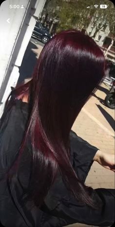 Black Red Cherry Hair, Dr Pepper Red Hair, Jet Black Hair With Red Tint, Level 3 Red Hair, Black Cherry Red Hair Color, Deep Cherry Black Hair, Red Hair Bottom Half, Dark Violet Red Hair Color, Bergandi Color Hair