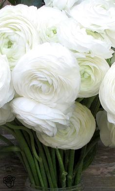 a bunch of white flowers that are in the middle of some kind of flower arrangement