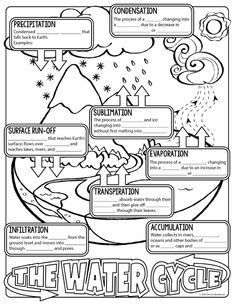 the water cycle worksheet for kids to help students learn how to use it