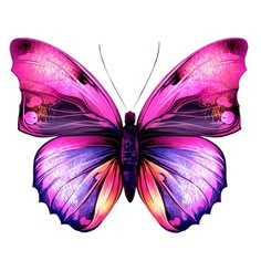 images to edit Artistic Butterfly, Butterfly Painting, Butterfly Watercolor, Butterfly Wallpaper