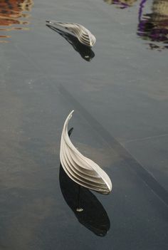 two white birds floating on top of a body of water