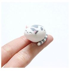 a tiny white and black cat sitting on top of a finger