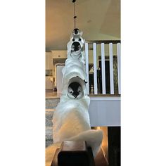 a large white polar bear with two black bears on it's back legs standing in front of a stair case