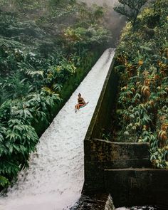 a man riding a wave on top of a surfboard in the middle of a jungle