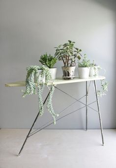 three potted plants sitting on top of a white table next to a gray wall