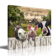 three farm animals standing behind a fence with the words live like someone left the gate open