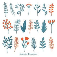 different types of flowers and leaves on a white background with blue, orange and red colors