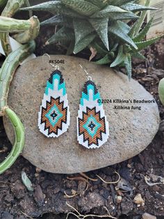 a pair of earrings sitting on top of a rock next to a potted plant