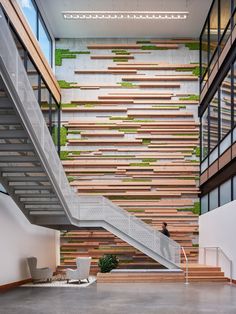 an indoor stair case with grass growing on the wall and wood slats above it