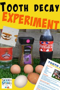 an advertisement for tooth decay experiment with eggs, yogurt, and other ingredients